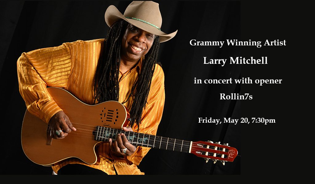Grammy Winning Artist Larry Mitchell